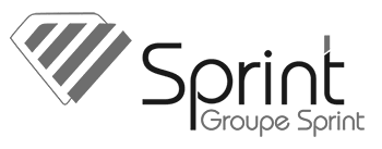logo-sprint - n&b